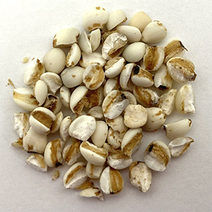 172603266081780600