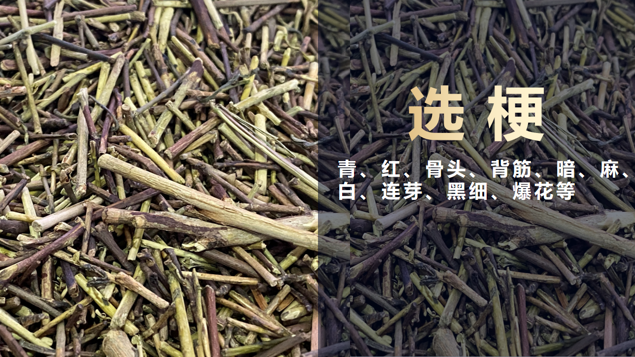 J9国际站备用【唯一】官方网站