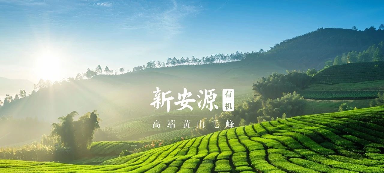 J9国际站备用【唯一】官方网站