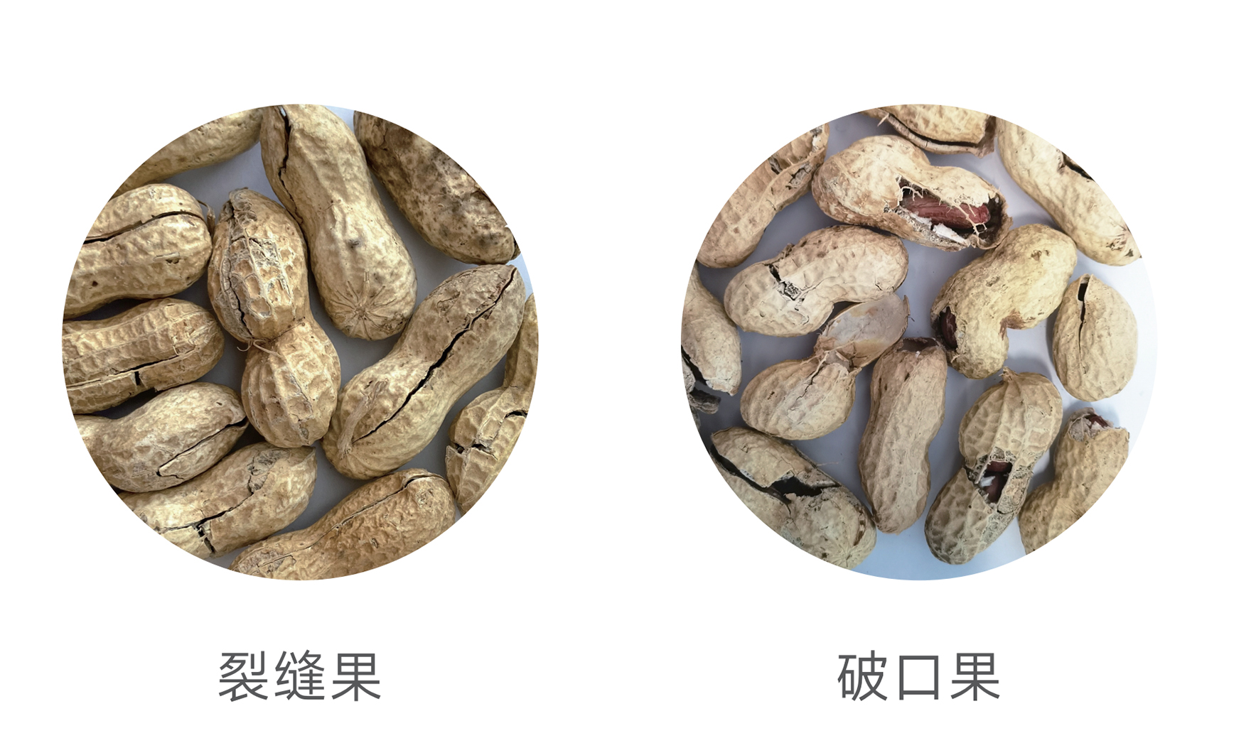 J9国际站备用【唯一】官方网站