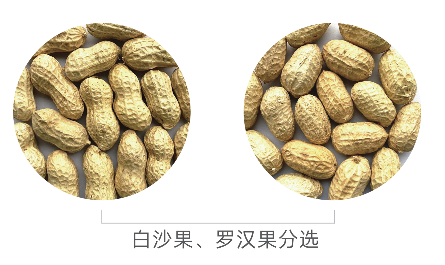 J9国际站备用【唯一】官方网站