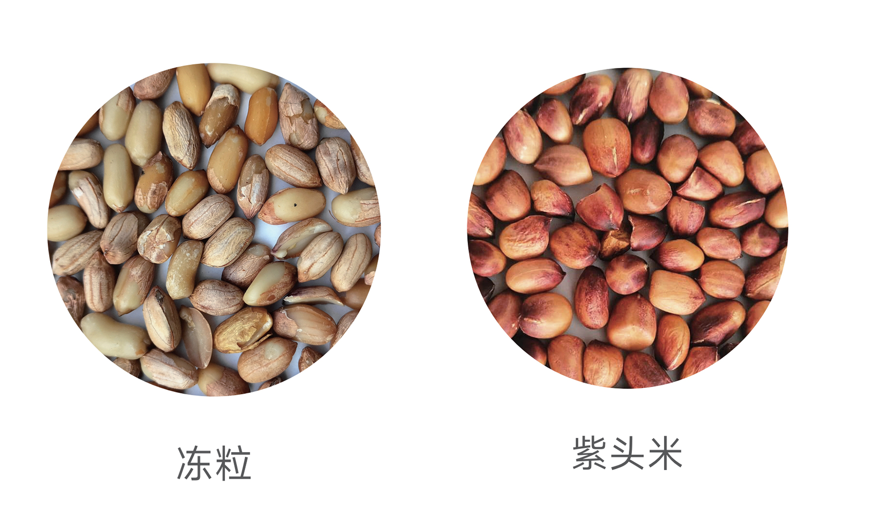 J9国际站备用【唯一】官方网站